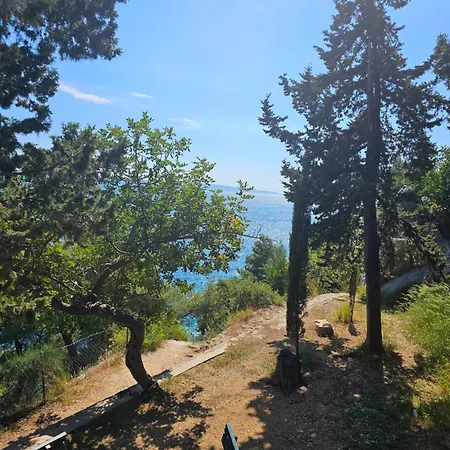 Daire Paul Et Nana *