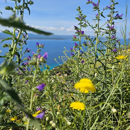 Apartment Paul Et Nana Trogir