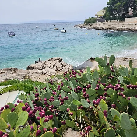 Paul Et Nana تروغير