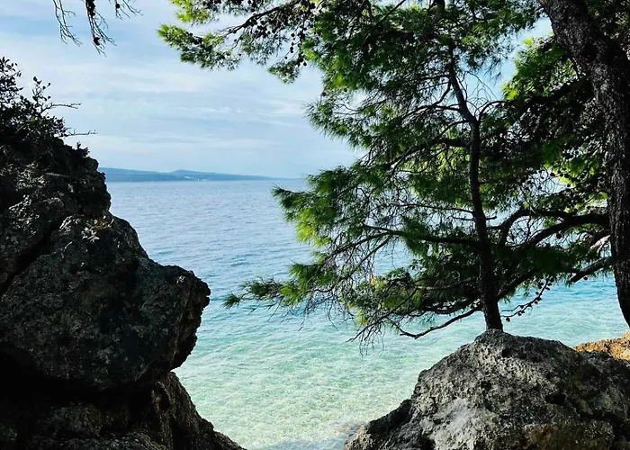 Appartement Paul Et Nana