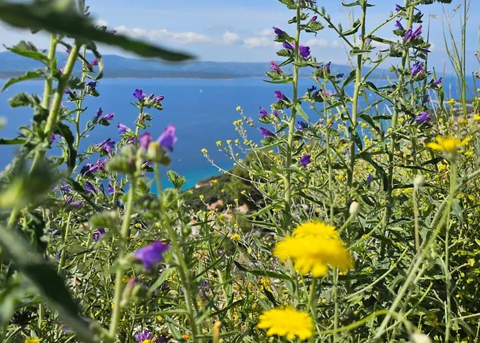 Apartamento Paul Et Nana Trogir